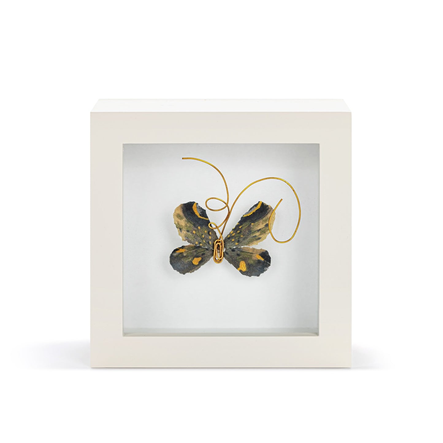 Heart of Gold Black & Gold Butterfly Shadow Box - 4in