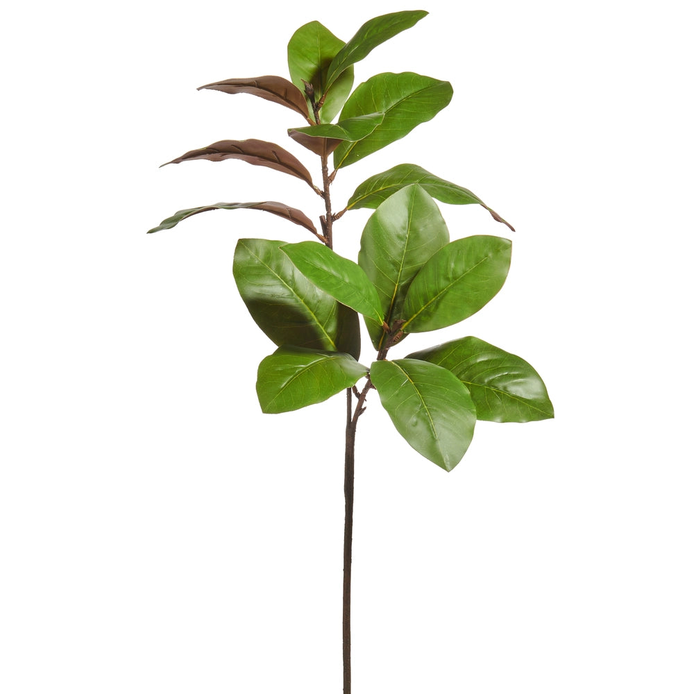 35" Magnolia Leaf Spray