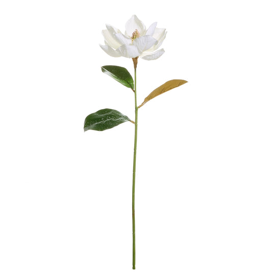 30" Iced Magnolia Stem