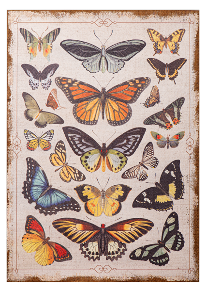 Butterfly Chart on Burlap Wall Decor